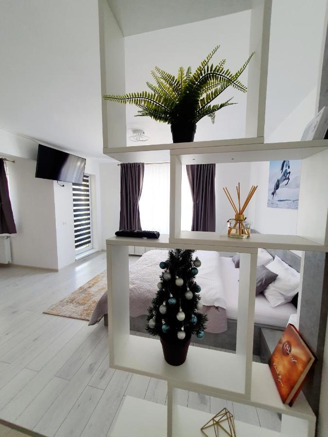 Fresh Mountain Brasov Apartment Exterior photo