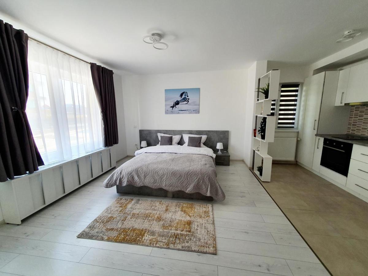 Fresh Mountain Brasov Apartment Exterior photo